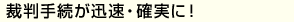 裁判手続が迅速・ 確実に！